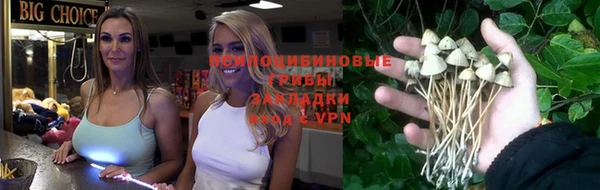 a pvp Вязьма