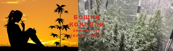 гашик Вязники