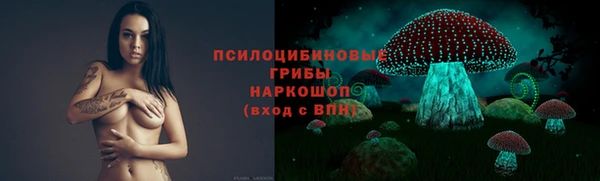 гашик Вязники