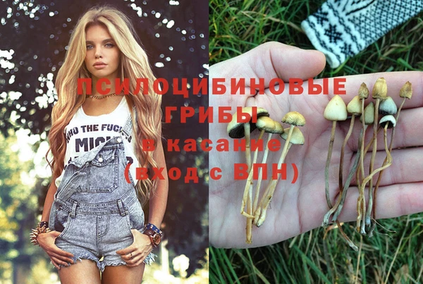 гашик Вязники