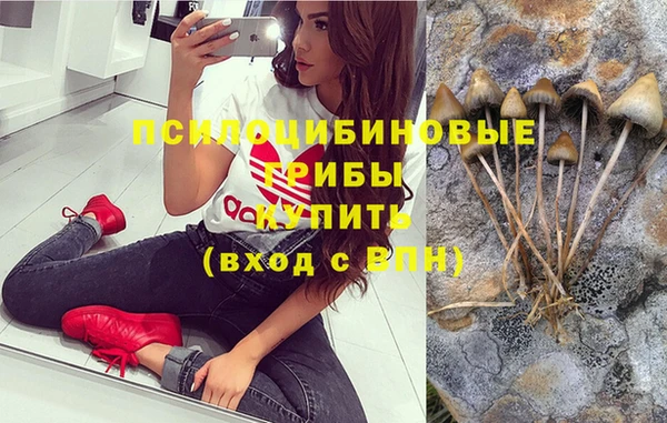 гашик Вязники