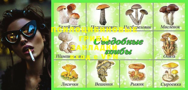 гашик Вязники