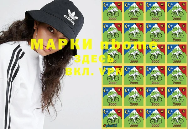 гашик Вязники