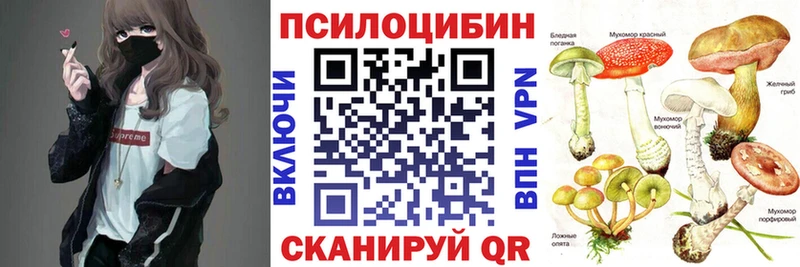 Галлюциногенные грибы Cubensis Каменка