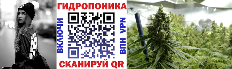 купить наркотики цена  Каменка  omg ссылка  Каннабис White Widow 